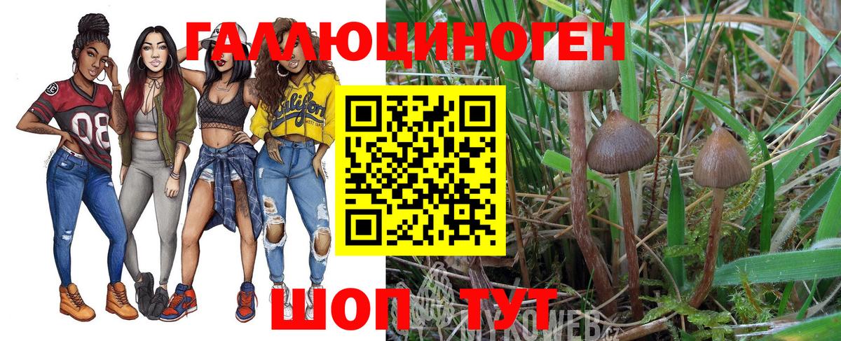 Переславль-Залесский  Галлюциногенные грибы MAGIC MUSHROOMS  Вход с VPN  Псилоцибиновые грибы прущие грибы 