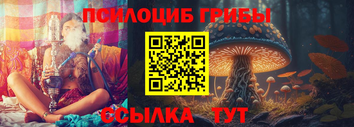 Псилоцибиновые грибы ЛСД Переславль-Залесский